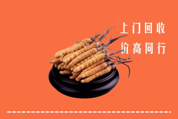 高价求购：德阳市广汉市回收散虫草