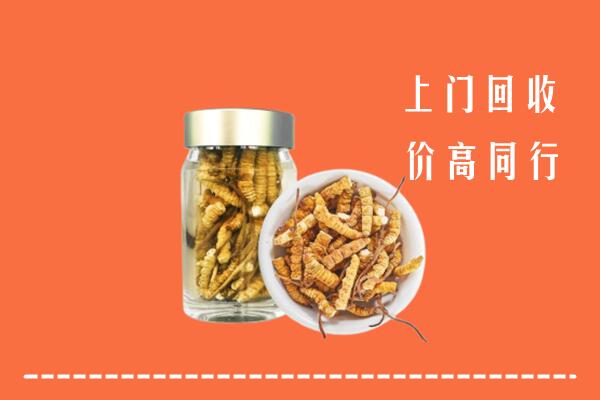 德阳市广汉市回收冬虫夏草